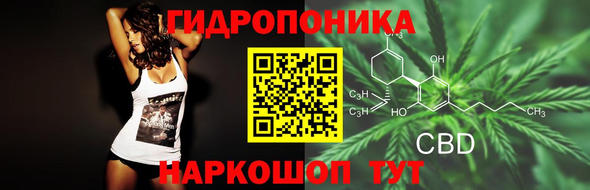 Марихуана гибрид  Вход с VPN  МАРИХУАНА White Widow  Надым  Каннабис сатива 